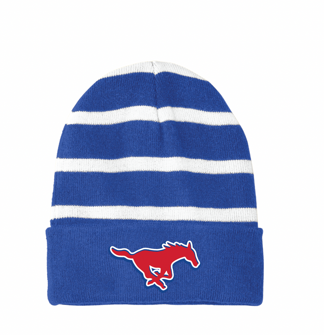 GHS Striped Beanie in Blue